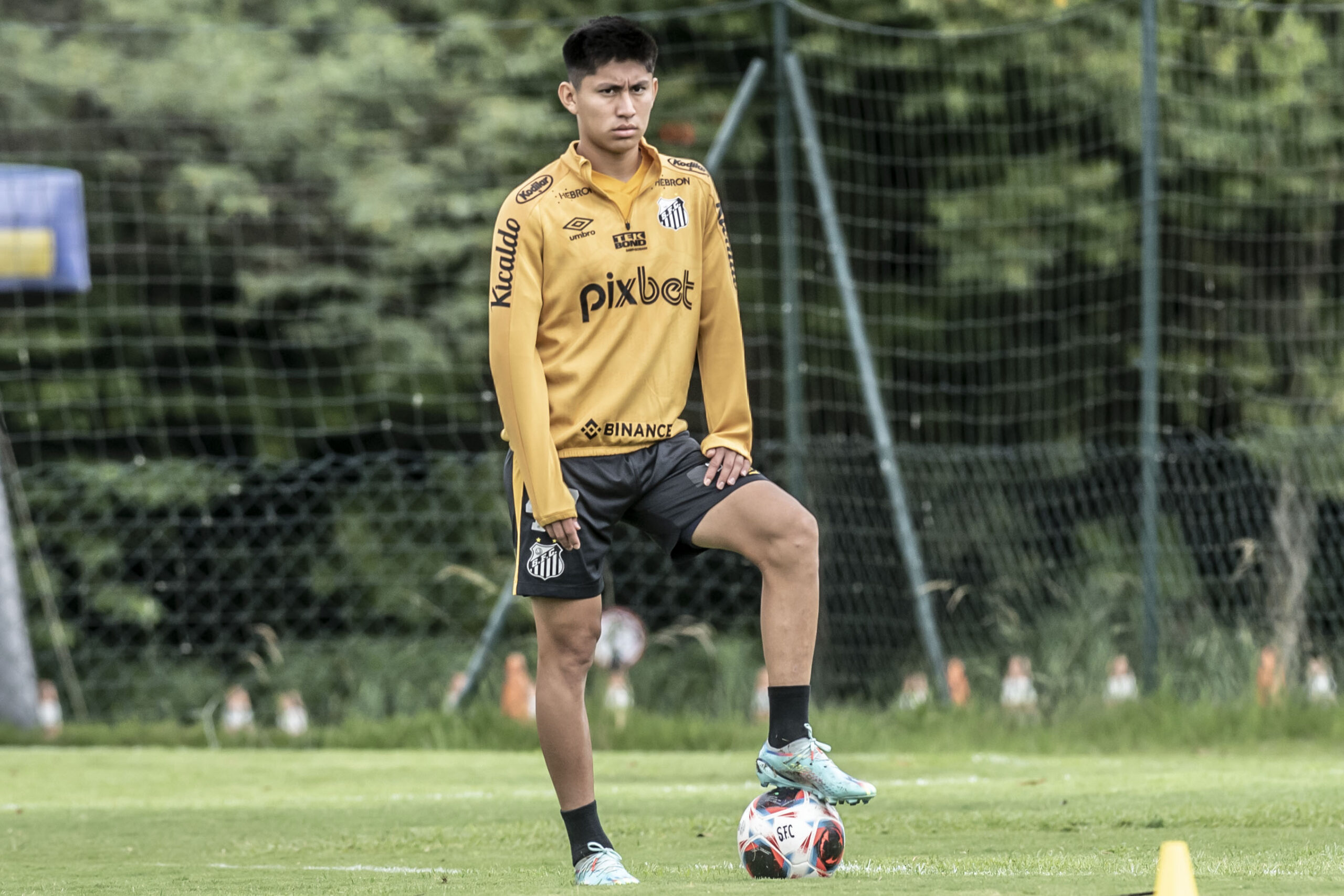 Miguelito deve retornar ao Brasil ainda nesta semana para retomar atividades no Santos