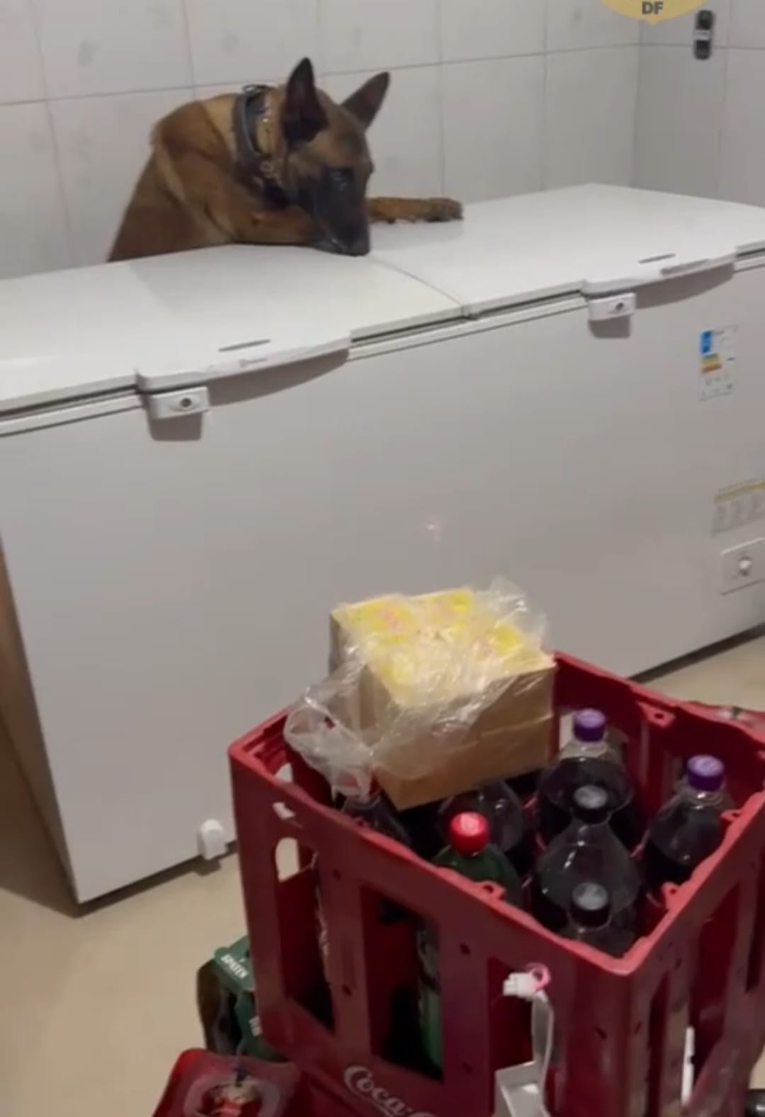 Homem é preso por usar distribuidora de bebidas para vender drogas em Ceilândia, no DF
