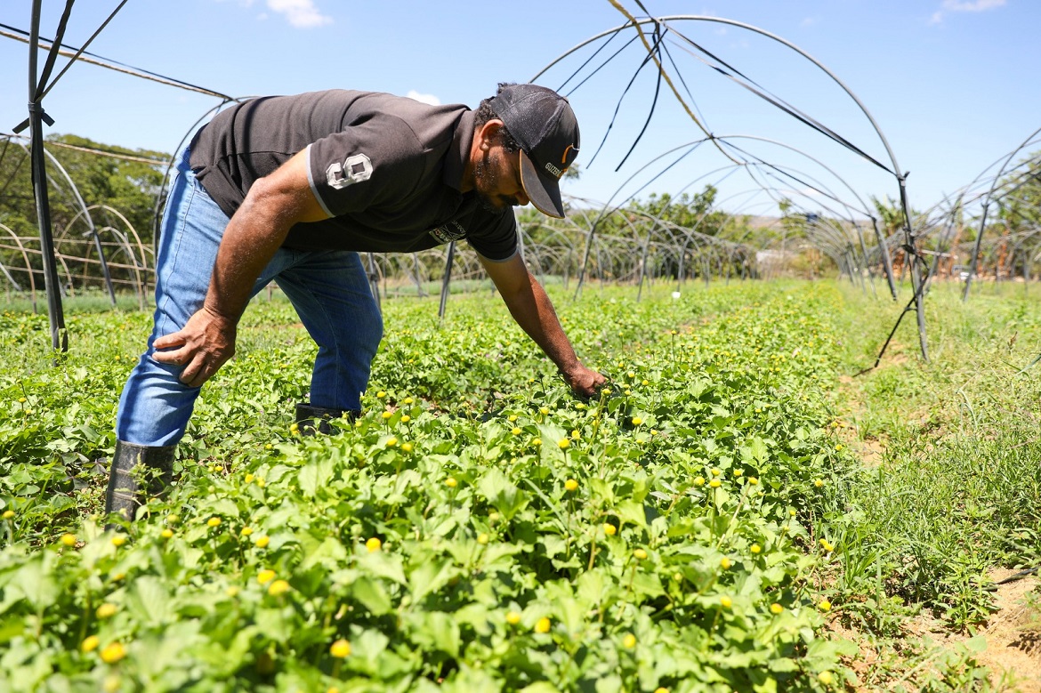 governadora-assina-decreto-que-regulamenta-a-politica-de-boas-praticas-agropecuarias governadora-assina-decreto-que-regulamenta-a-politica-de-boas-praticas-agropecuarias