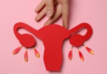 Estudo da USP testa reposição hormonal direcionada durante a menopausa estudo-da-usp-testa-reposicao-hormonal-direcionada-durante-a-menopausa